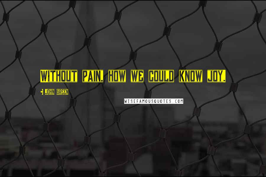 John Green Quotes: Without pain, how we could know joy.