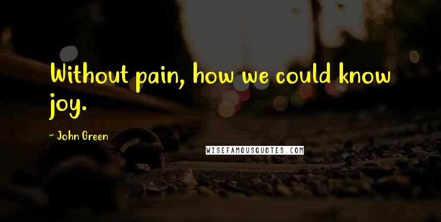John Green Quotes: Without pain, how we could know joy.