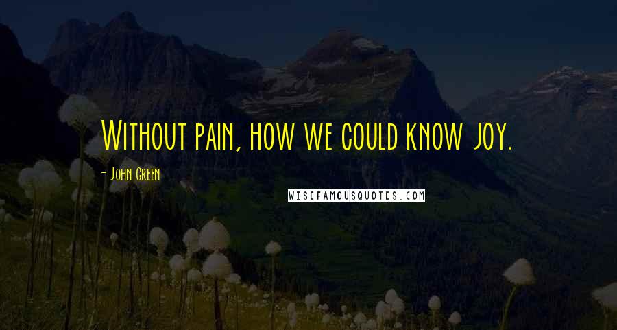 John Green Quotes: Without pain, how we could know joy.
