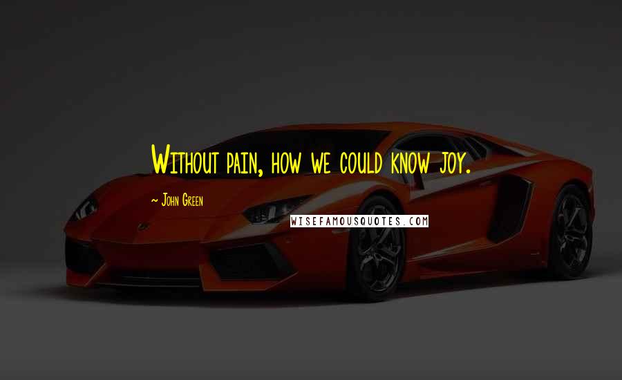John Green Quotes: Without pain, how we could know joy.