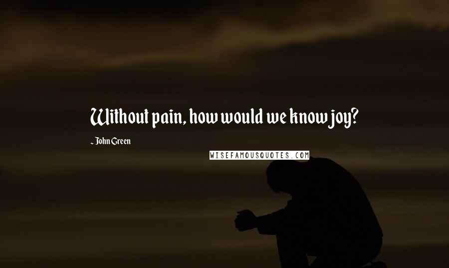 John Green Quotes: Without pain, how would we know joy?