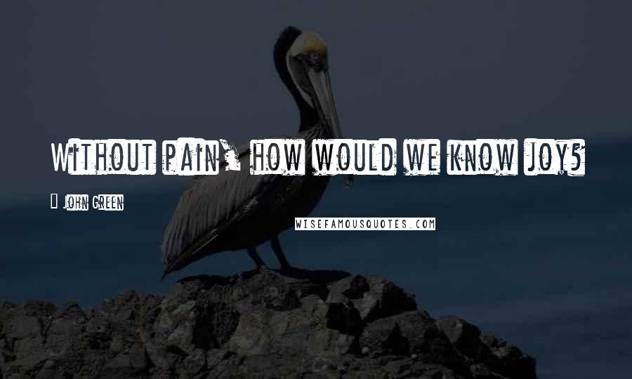 John Green Quotes: Without pain, how would we know joy?