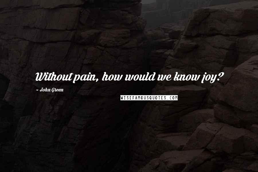 John Green Quotes: Without pain, how would we know joy?