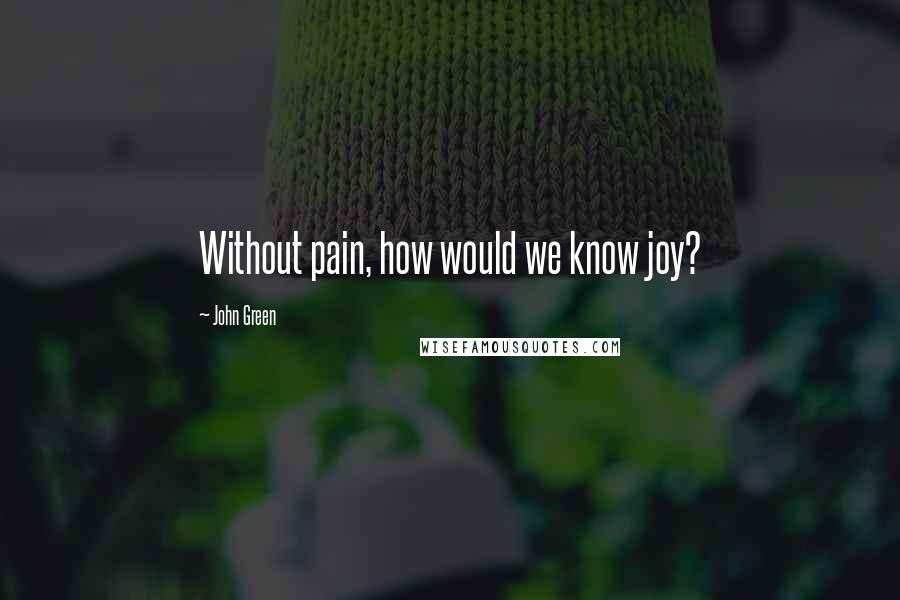 John Green Quotes: Without pain, how would we know joy?