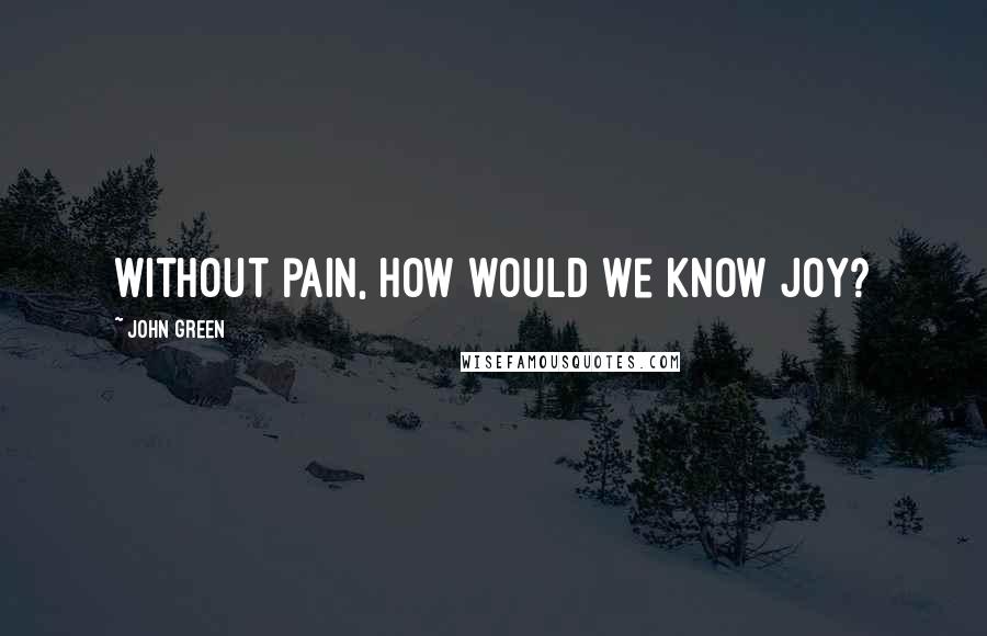 John Green Quotes: Without pain, how would we know joy?