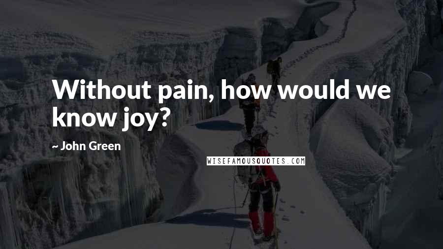 John Green Quotes: Without pain, how would we know joy?