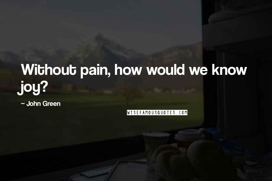 John Green Quotes: Without pain, how would we know joy?