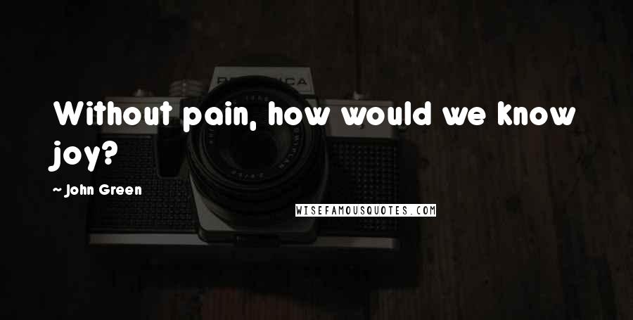 John Green Quotes: Without pain, how would we know joy?