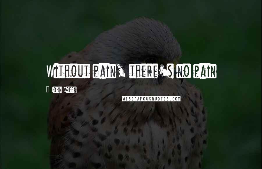 John Green Quotes: Without pain, there's no pain