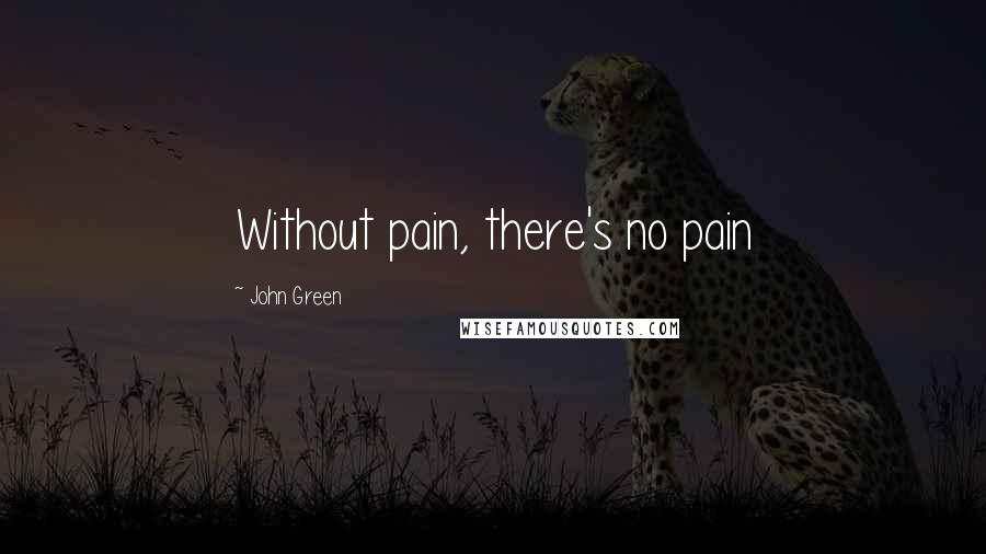 John Green Quotes: Without pain, there's no pain
