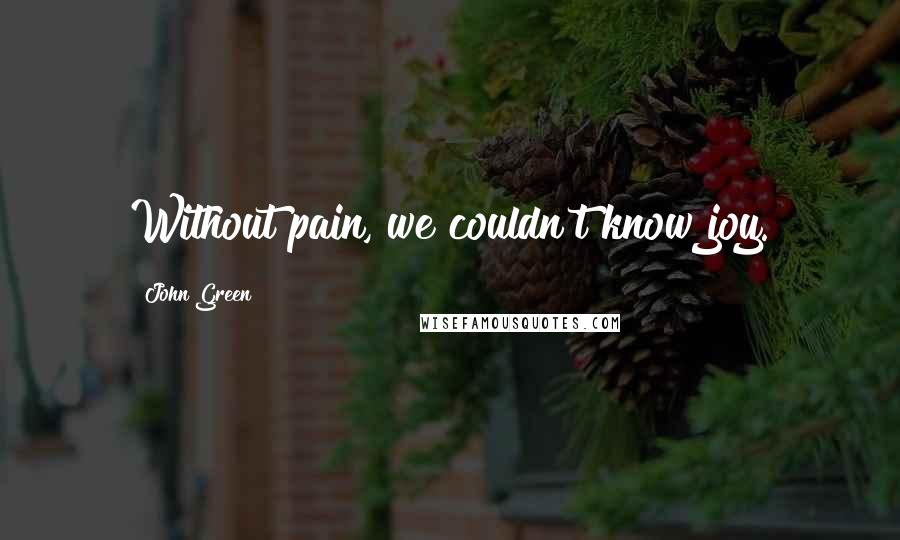 John Green Quotes: Without pain, we couldn't know joy.