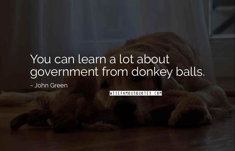 John Green Quotes: You can learn a lot about government from donkey balls.