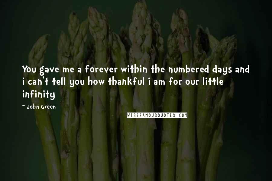 John Green Quotes: You gave me a forever within the numbered days and i can't tell you how thankful i am for our little infinity