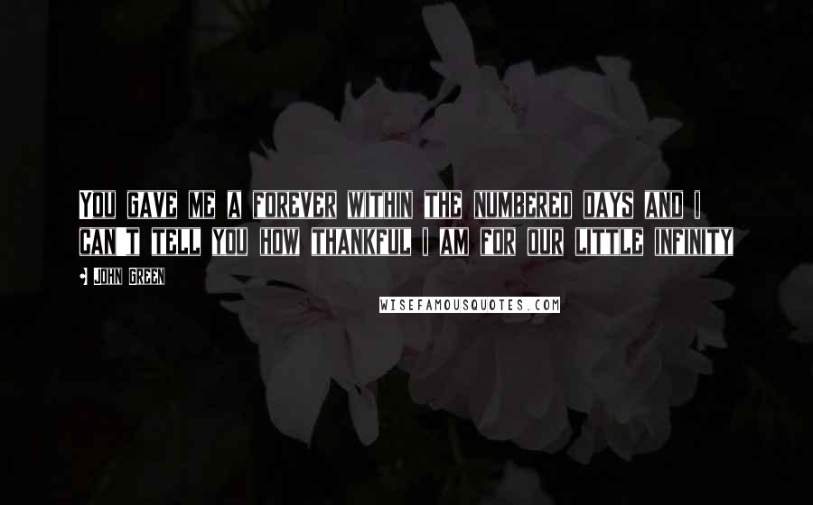 John Green Quotes: You gave me a forever within the numbered days and i can't tell you how thankful i am for our little infinity