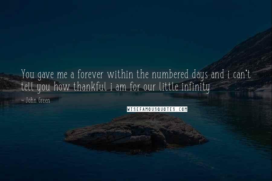 John Green Quotes: You gave me a forever within the numbered days and i can't tell you how thankful i am for our little infinity