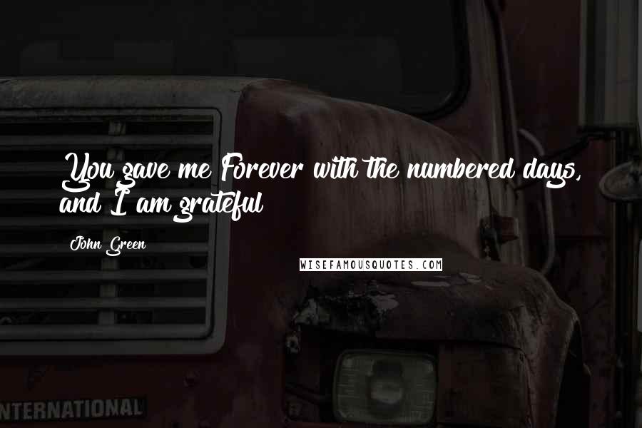 John Green Quotes: You gave me Forever with the numbered days, and I am grateful