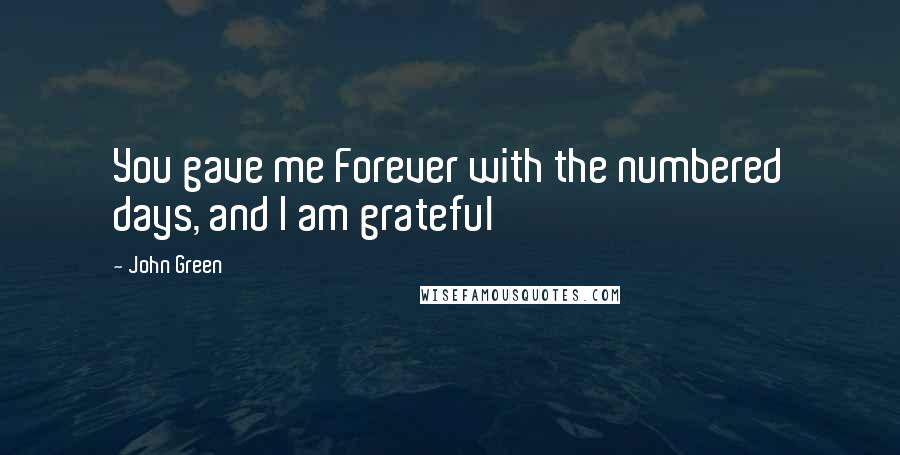 John Green Quotes: You gave me Forever with the numbered days, and I am grateful