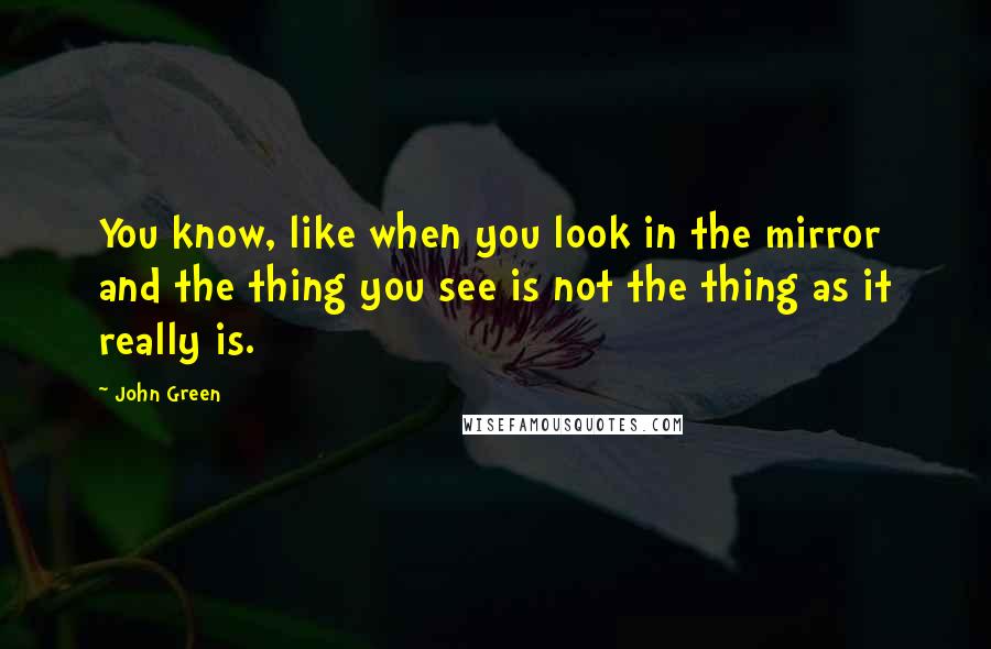 John Green Quotes: You know, like when you look in the mirror and the thing you see is not the thing as it really is.