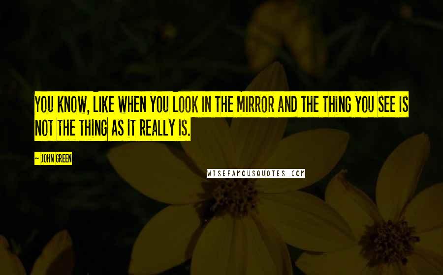 John Green Quotes: You know, like when you look in the mirror and the thing you see is not the thing as it really is.