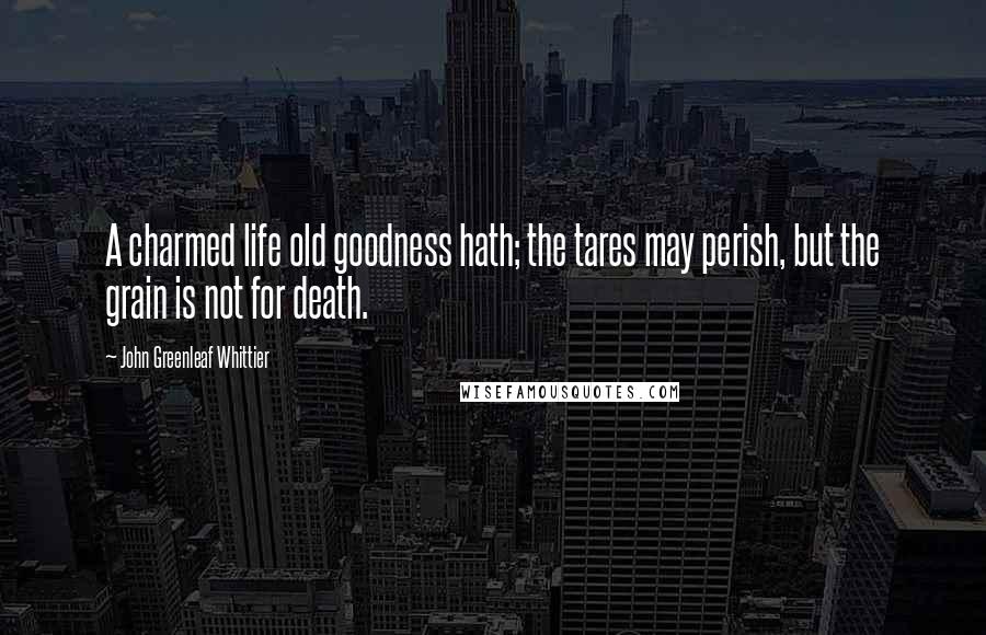 John Greenleaf Whittier Quotes: A charmed life old goodness hath; the tares may perish, but the grain is not for death.