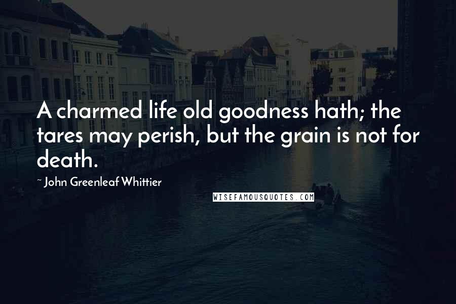 John Greenleaf Whittier Quotes: A charmed life old goodness hath; the tares may perish, but the grain is not for death.