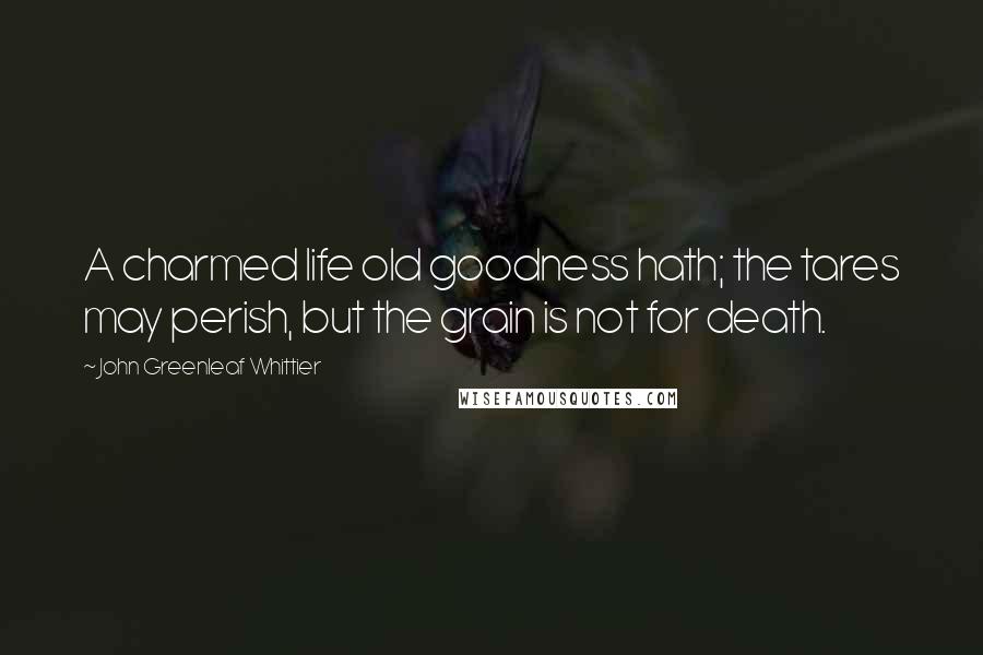 John Greenleaf Whittier Quotes: A charmed life old goodness hath; the tares may perish, but the grain is not for death.