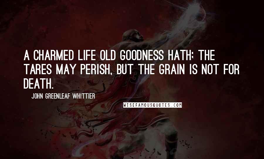 John Greenleaf Whittier Quotes: A charmed life old goodness hath; the tares may perish, but the grain is not for death.