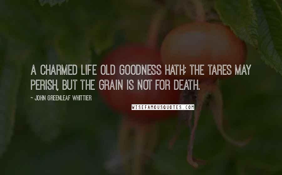 John Greenleaf Whittier Quotes: A charmed life old goodness hath; the tares may perish, but the grain is not for death.