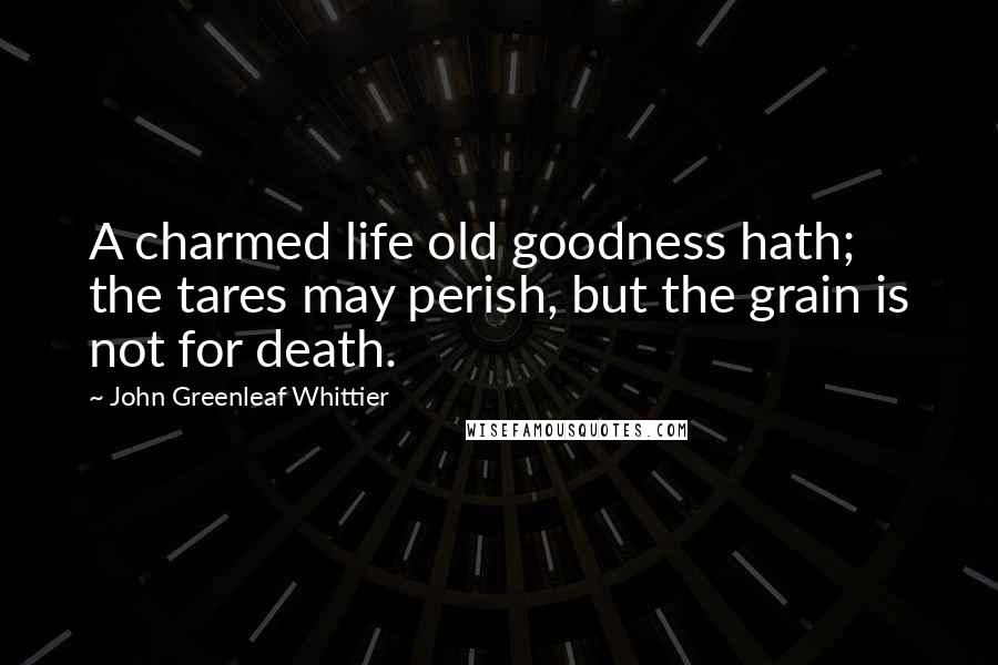 John Greenleaf Whittier Quotes: A charmed life old goodness hath; the tares may perish, but the grain is not for death.