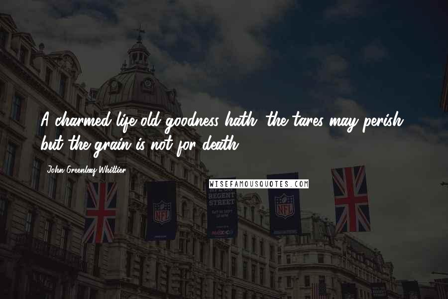 John Greenleaf Whittier Quotes: A charmed life old goodness hath; the tares may perish, but the grain is not for death.