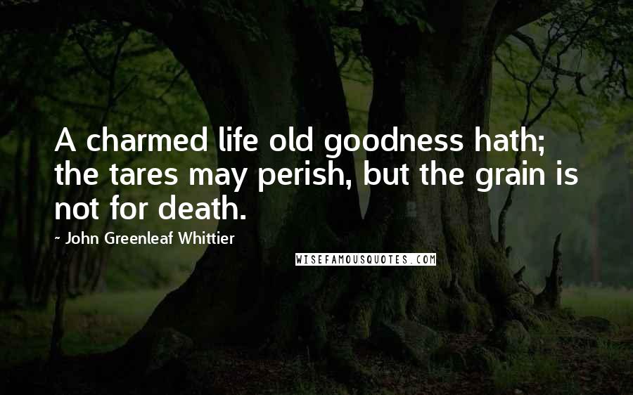 John Greenleaf Whittier Quotes: A charmed life old goodness hath; the tares may perish, but the grain is not for death.