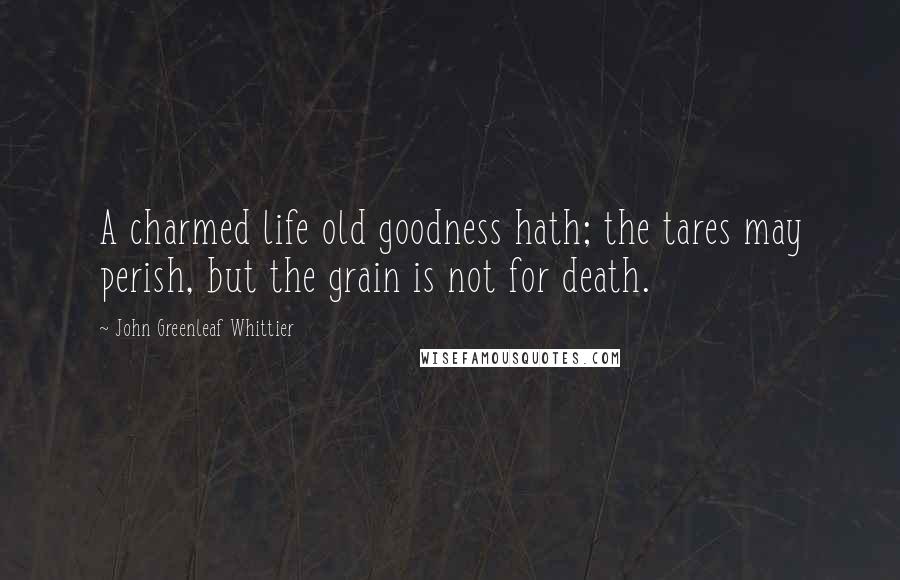 John Greenleaf Whittier Quotes: A charmed life old goodness hath; the tares may perish, but the grain is not for death.