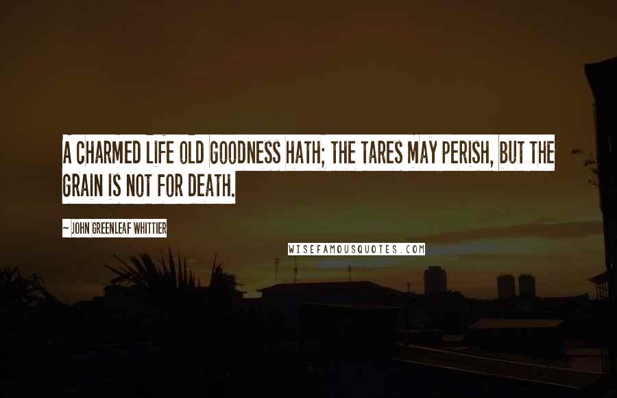 John Greenleaf Whittier Quotes: A charmed life old goodness hath; the tares may perish, but the grain is not for death.