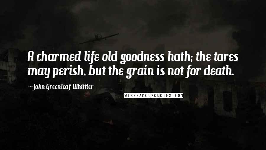 John Greenleaf Whittier Quotes: A charmed life old goodness hath; the tares may perish, but the grain is not for death.