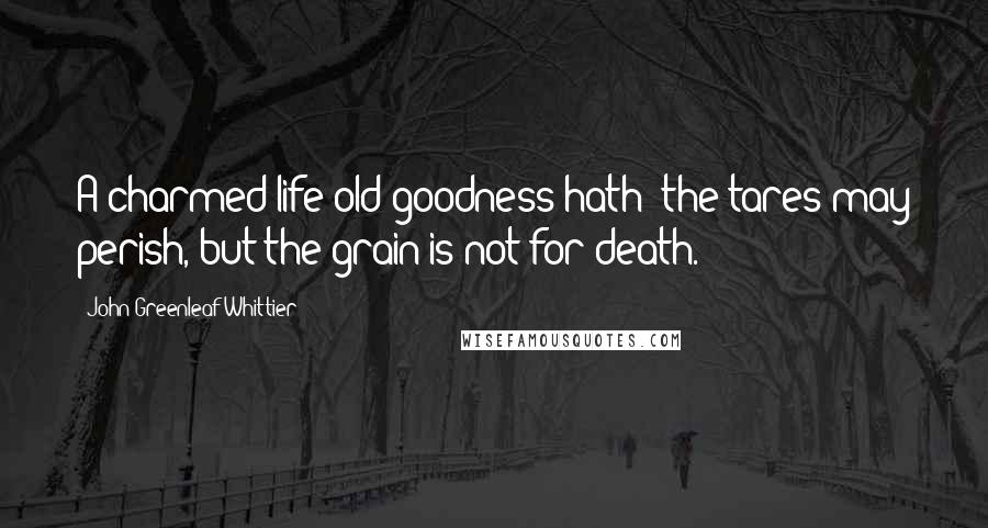 John Greenleaf Whittier Quotes: A charmed life old goodness hath; the tares may perish, but the grain is not for death.