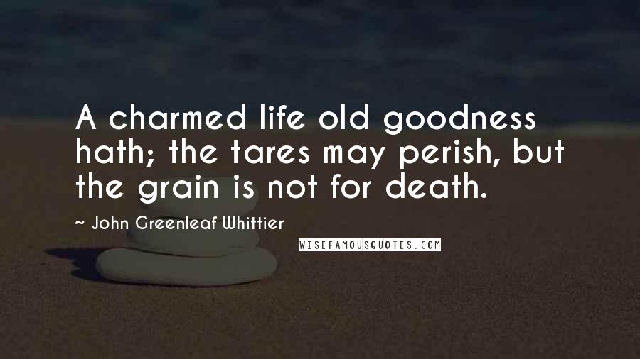 John Greenleaf Whittier Quotes: A charmed life old goodness hath; the tares may perish, but the grain is not for death.