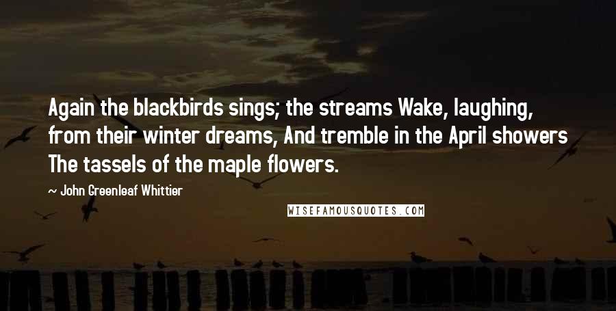 John Greenleaf Whittier Quotes: Again the blackbirds sings; the streams Wake, laughing, from their winter dreams, And tremble in the April showers The tassels of the maple flowers.