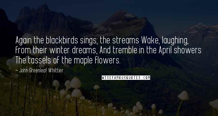 John Greenleaf Whittier Quotes: Again the blackbirds sings; the streams Wake, laughing, from their winter dreams, And tremble in the April showers The tassels of the maple flowers.