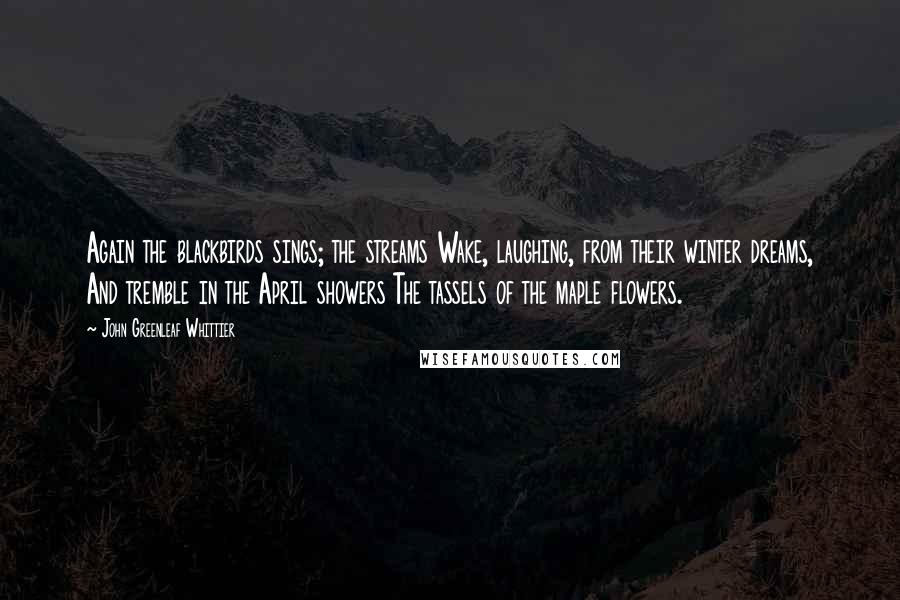 John Greenleaf Whittier Quotes: Again the blackbirds sings; the streams Wake, laughing, from their winter dreams, And tremble in the April showers The tassels of the maple flowers.