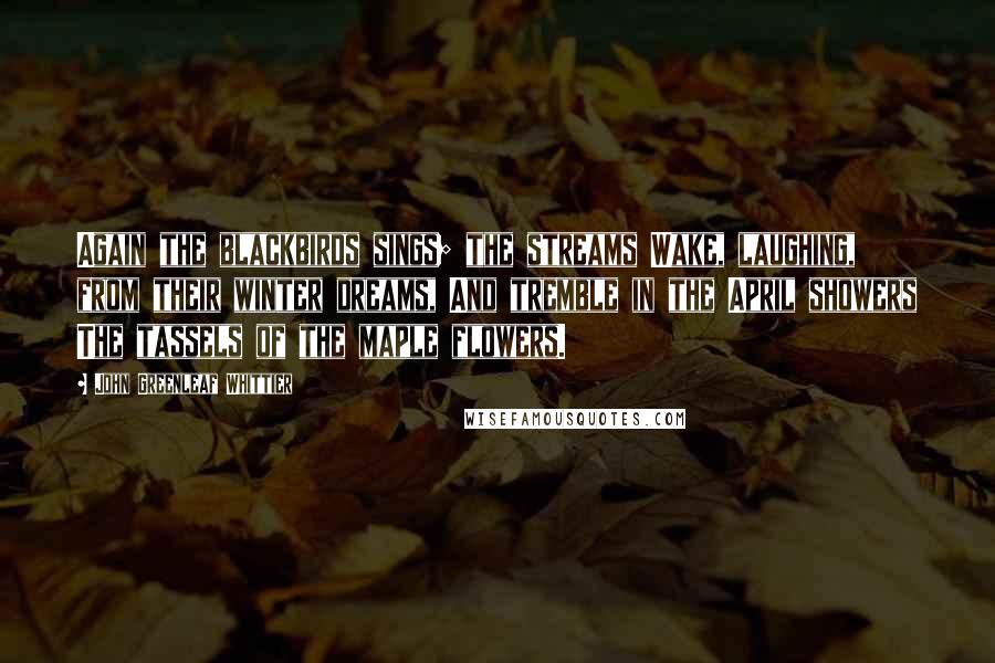 John Greenleaf Whittier Quotes: Again the blackbirds sings; the streams Wake, laughing, from their winter dreams, And tremble in the April showers The tassels of the maple flowers.