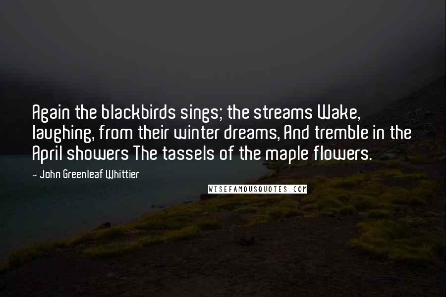 John Greenleaf Whittier Quotes: Again the blackbirds sings; the streams Wake, laughing, from their winter dreams, And tremble in the April showers The tassels of the maple flowers.