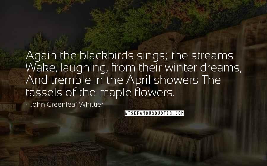 John Greenleaf Whittier Quotes: Again the blackbirds sings; the streams Wake, laughing, from their winter dreams, And tremble in the April showers The tassels of the maple flowers.