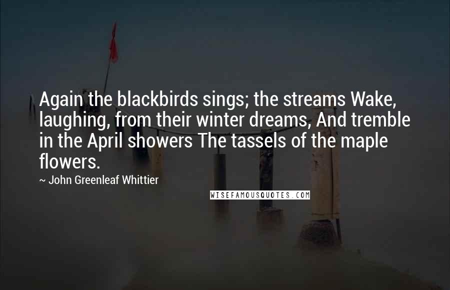 John Greenleaf Whittier Quotes: Again the blackbirds sings; the streams Wake, laughing, from their winter dreams, And tremble in the April showers The tassels of the maple flowers.