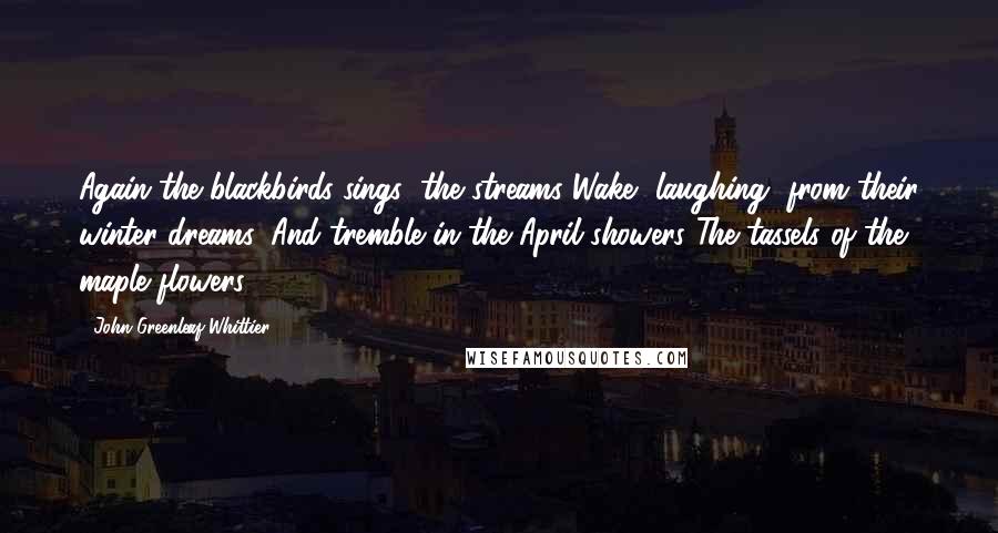 John Greenleaf Whittier Quotes: Again the blackbirds sings; the streams Wake, laughing, from their winter dreams, And tremble in the April showers The tassels of the maple flowers.