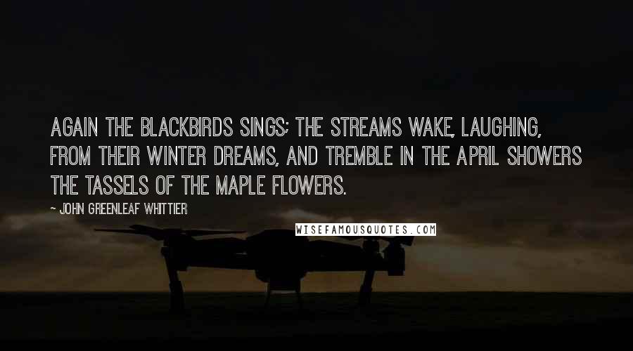 John Greenleaf Whittier Quotes: Again the blackbirds sings; the streams Wake, laughing, from their winter dreams, And tremble in the April showers The tassels of the maple flowers.