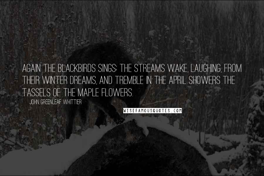 John Greenleaf Whittier Quotes: Again the blackbirds sings; the streams Wake, laughing, from their winter dreams, And tremble in the April showers The tassels of the maple flowers.