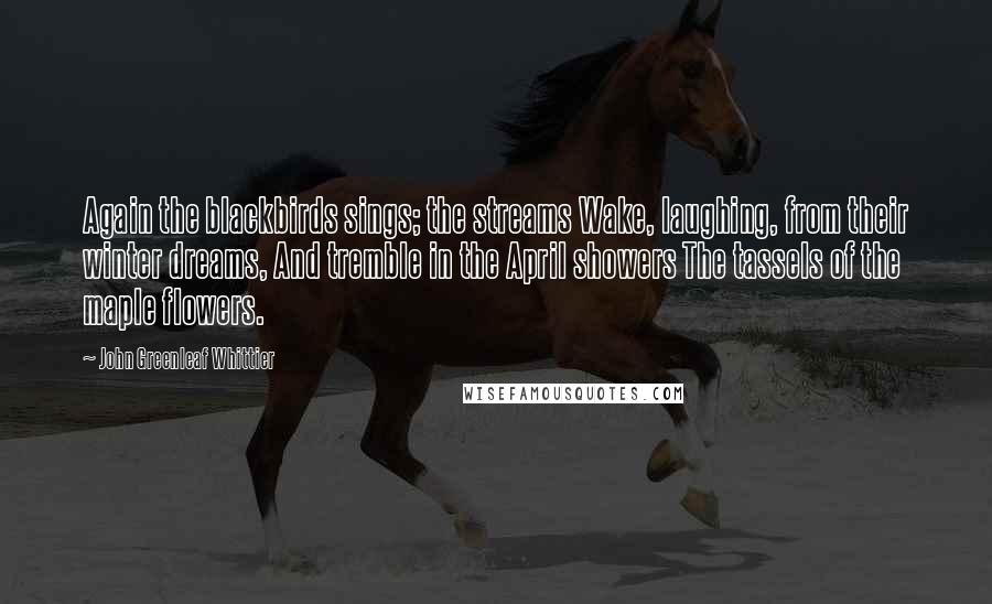 John Greenleaf Whittier Quotes: Again the blackbirds sings; the streams Wake, laughing, from their winter dreams, And tremble in the April showers The tassels of the maple flowers.