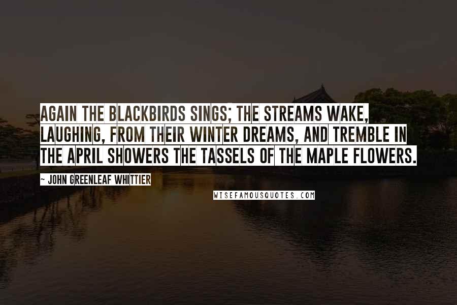 John Greenleaf Whittier Quotes: Again the blackbirds sings; the streams Wake, laughing, from their winter dreams, And tremble in the April showers The tassels of the maple flowers.