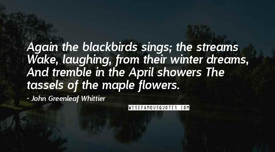 John Greenleaf Whittier Quotes: Again the blackbirds sings; the streams Wake, laughing, from their winter dreams, And tremble in the April showers The tassels of the maple flowers.