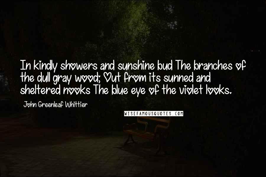 John Greenleaf Whittier Quotes: In kindly showers and sunshine bud The branches of the dull gray wood; Out from its sunned and sheltered nooks The blue eye of the violet looks.